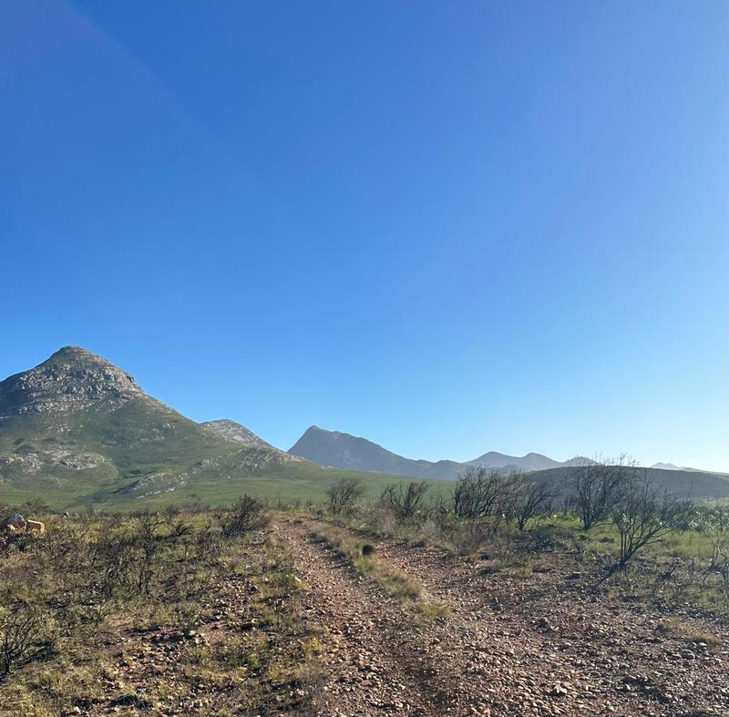 0 Bedroom Property for Sale in Kareedouw Eastern Cape